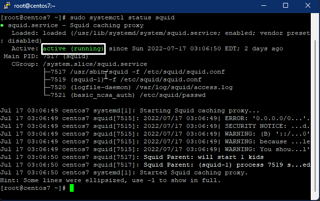 Status of Squid Proxy