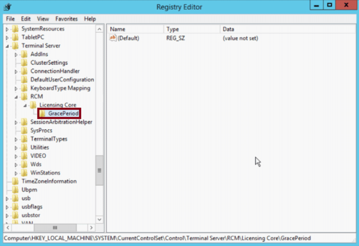 Grace period/ remote desktop licence