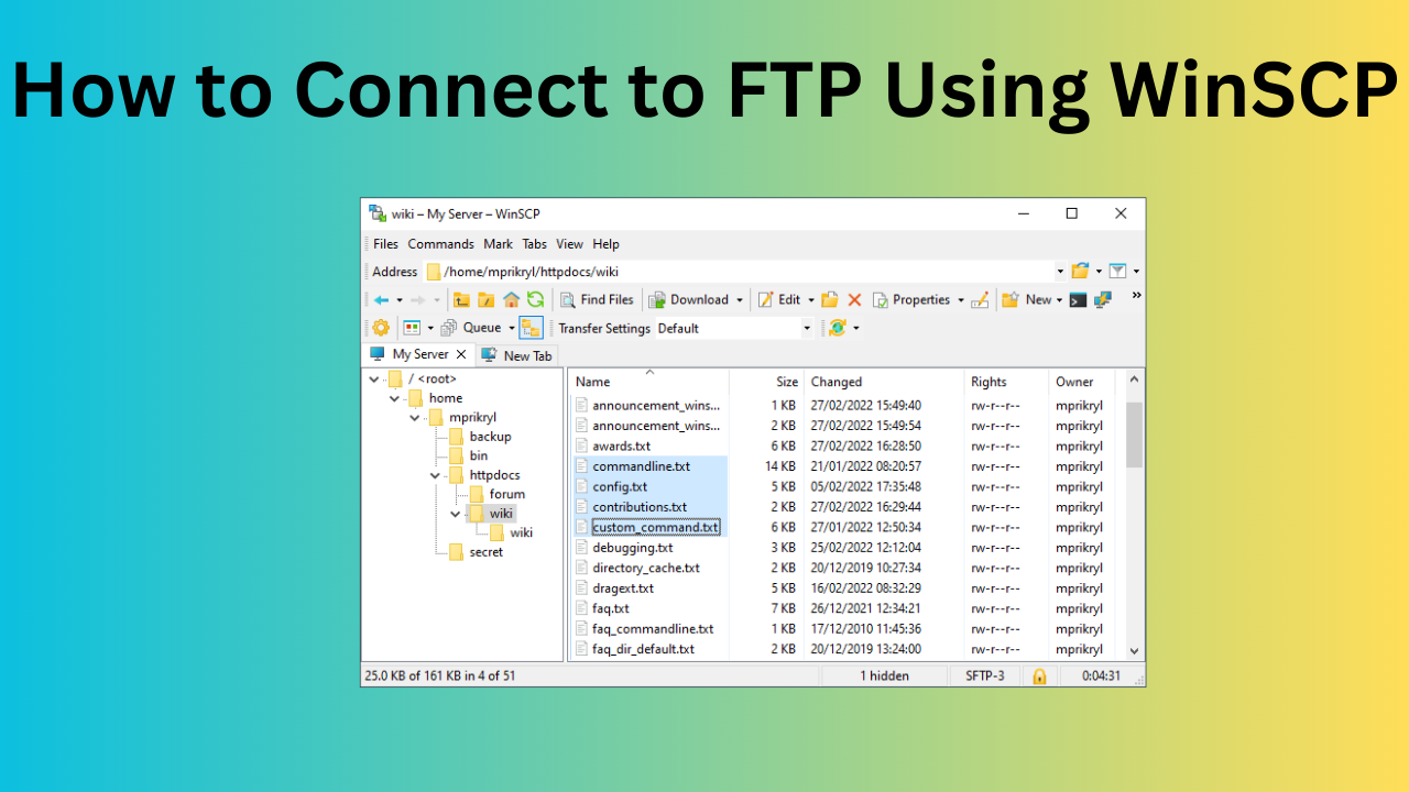 How to Connect to FTP Using WinSCP