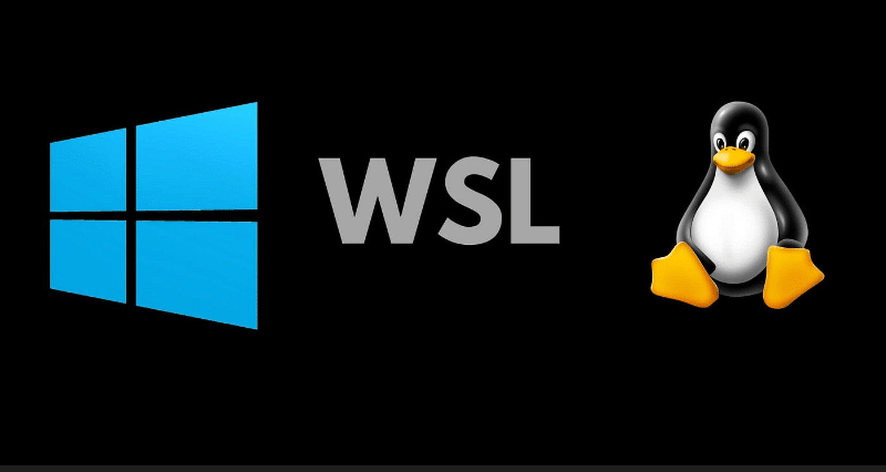 WSL VS LINUX